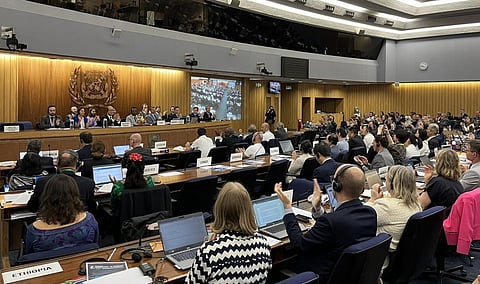 Photo: @IMOHQ / Twitter