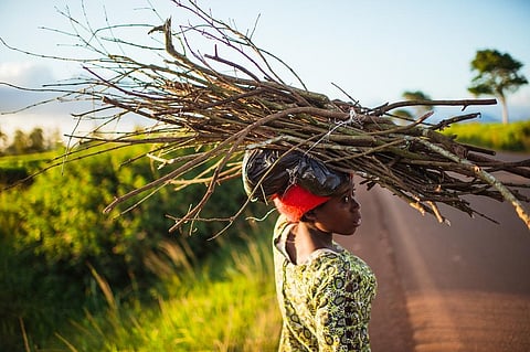Energy poverty impacts women in the rural areas of Kenya, who spend the better part of their day searching for either water or firewood. Representative photo: iStock.