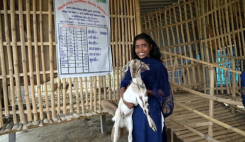 Photo: Heifer India
