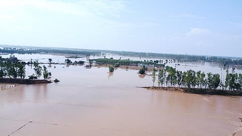 Tangri river in Haryana’s Ambala district, had previously dried up. It breached its banks in early July. Photo: Mandeep Punia