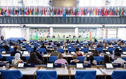The meeting is taking place at the Food and Agriculture Organization’s headquarters in Rome. Photo: FAO.
