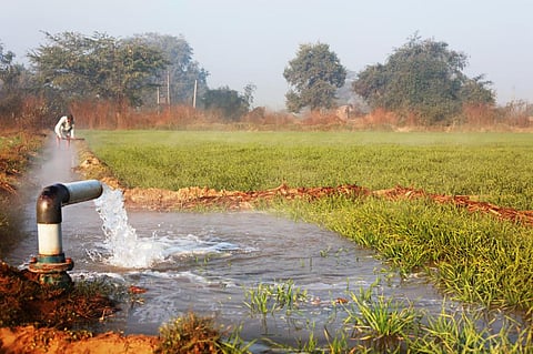 More than 60 per cent of irrigation requirements in India are met by groundwater. Photo: iStock