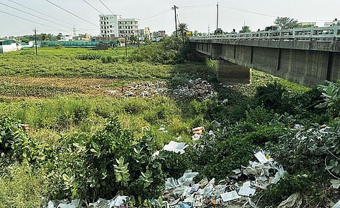 In 2020, Bihar government claimed it had cleaned up Dhanauti river in East Champaran district after spending `3 crore to desilt the riverbed and carry out plantation drives.  This image of the river, captured on June 24, 2023  tells a different story   (Photograph: Priyadarshi Priyam)