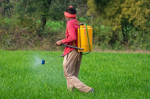 The central government in May 2020 had proposed banning 27 harmful pesticides identified as health hazards by an expert committee. Photo: iStock