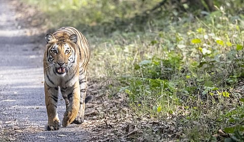 Photo: iStock 