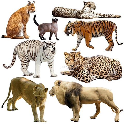 Photo: iStock