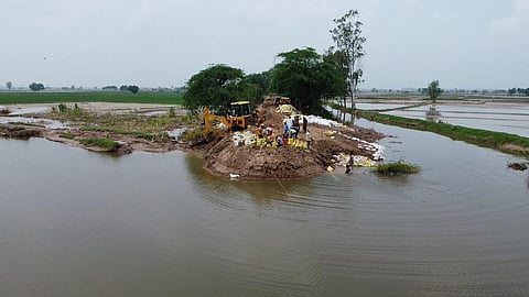 पंजाब-हरियाणा सीमा पर बसे गांव दड़बा में घग्घर किनारे बना बांध दो जगह से टूट गया और सारी पानी खेतों में घुस गया। फोटो- एश्वर्या अय्यर
