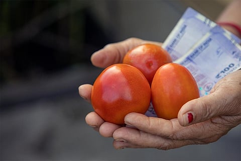एक महीने में 233 फीसदी बढ़ी टमाटर की कीमतें; फोटो: आईस्टॉक