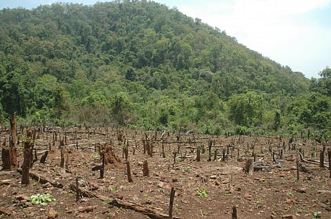 The 42nd Amendment Act of 1976 makes FCA part of the Concurrent List, making state and central governments equally responsible to protect the forest, said an enironmentalist. File photo: CSE