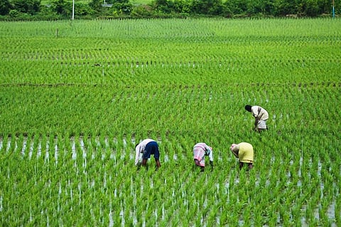 The core monsoon zone is a region in India stretching from Gujarat in the west to West Bengal in the east. Photo: iStock