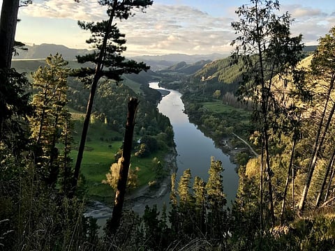Trees, rivers and mountains are gaining legal status — but it’s not been a quick fix for environmental problems