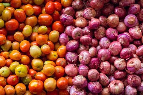Tomato crops were ravaged by unusual weather events, leading to the unprecedented price rise in July. Photo: iStock