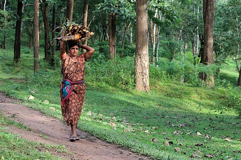 A nonprofit Avaaz has demanded that Indigenous Peoples and Local Communities receive direct funds from the Global Biodiversity Framework Fund for managing their land. Photo: iStock