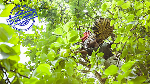 Lateral Thoughts: Biodiversity management is in transition