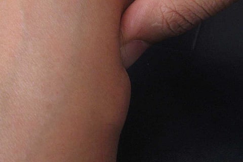 फोटो साभार: विकिमीडिया कॉमन्स, सिकंदर इकबाल