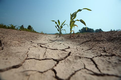 In the last 123 years, there have been 14 instances or years when the monsoonal deficiency threshold has been over -10 percent. Photo: iStock