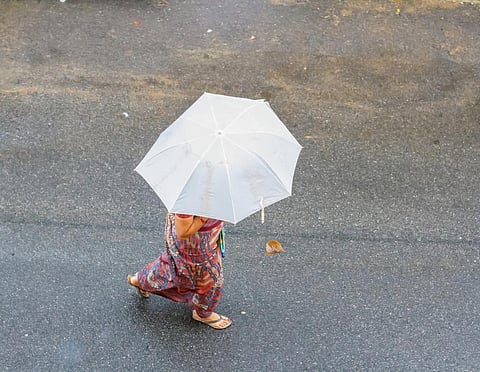 Photo: iStock