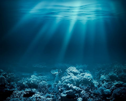 Photo: Shutterstock
