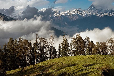 उत्तराखंड में हिमालय के बर्फ से ढके पहाड़ के सामने दयारा का अद्भुत बुग्याल (घास का मैदान); फोटो: आईस्टॉक