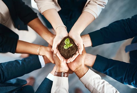 Photo: iStock