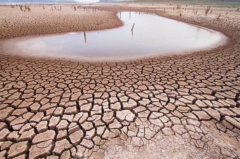 Photo: iStock
