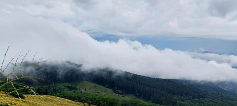 Photo: iStock