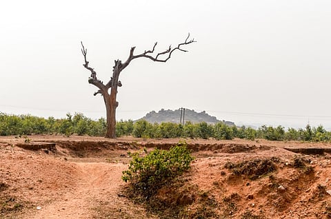 Photo: iStock