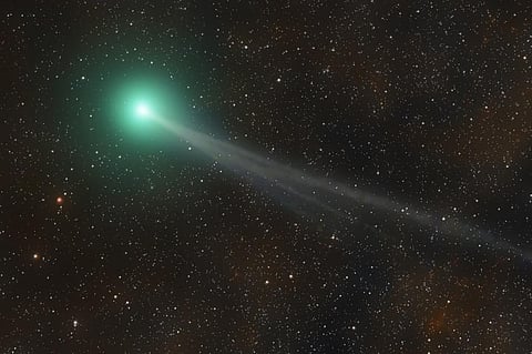 Are we about to see a rare green comet light up the sky? An expert on what to expect from Nishimura