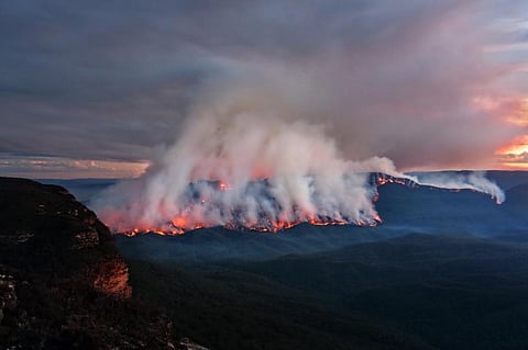 Photo: iStock 