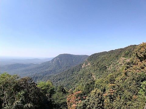 Though many places in the Western Ghats have been receiving more rains than Agumbe in the past, many got their own rain gauges only in 2022. Photo: Rajath R 