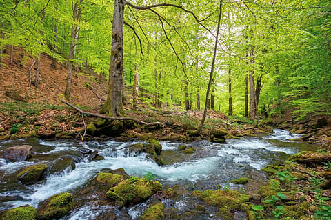 Photo: iStock
