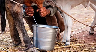 Photo: iStock