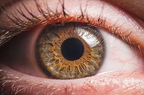 Photo: Shutterstock