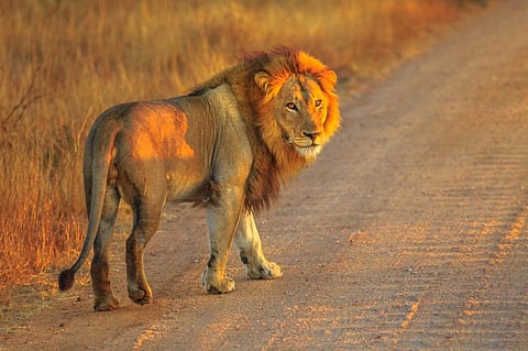 Photo: iStock