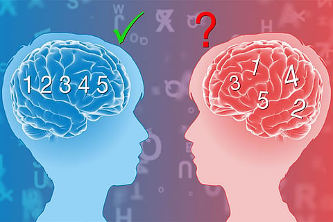 फोटो साभार: विकिमीडिया कॉमन्स, साइंटिफिक एनिमेशन
