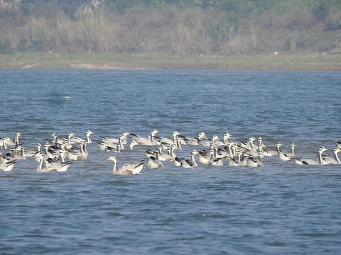 Photo: Hrusikesh Mohanty