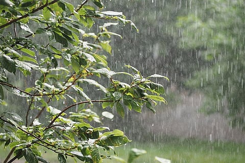 जम्मू और कश्मीर में बूंदाबांदी, केरल और माहे में भारी बारिश के आसार
