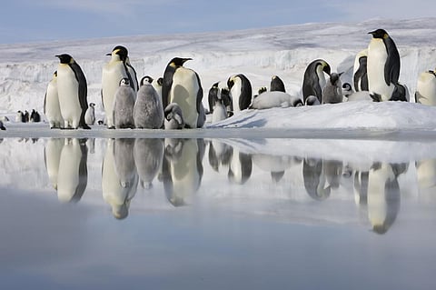 Photo: iStock