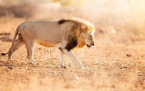 Representative photo from iStock