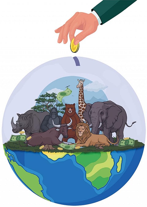 Illustration: Yogendra Anand 