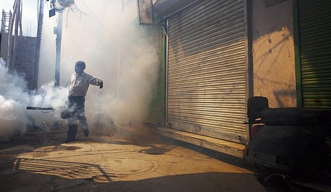 Despite the upsurge, around 73 per cent of the respondents said anti-mosquito fogging has not been done in their areas by their municipal corporation or civic body, 45 days prior to the survey. Photo: iStock