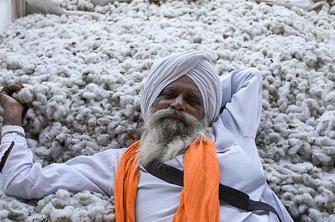 A cotton farmer in Agricultural Produce Market Committee in Hanumangarh waiting to  auction his wares. Photo: Vikas Choudhary / CSE