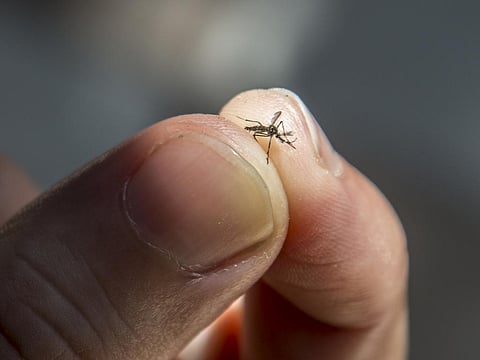 Photo: iStock