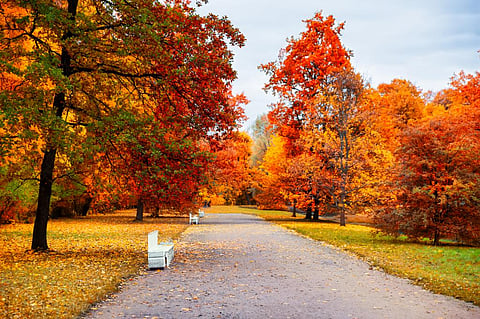 Photo: iStock