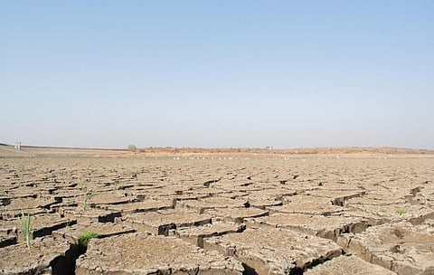Photo: iStock