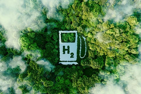Photo: iStock
