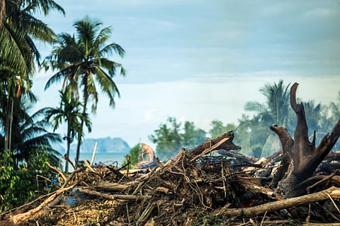 Photo: iStock