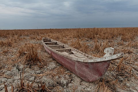 Photo: iStock