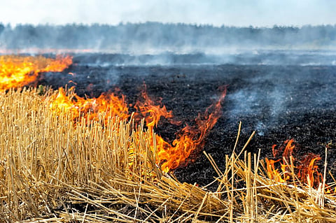 Photo: iStock