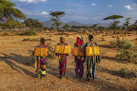 The El Nino may fuel more extreme weather events such as heatwaves, wildfires and droughts. Photo: iStock